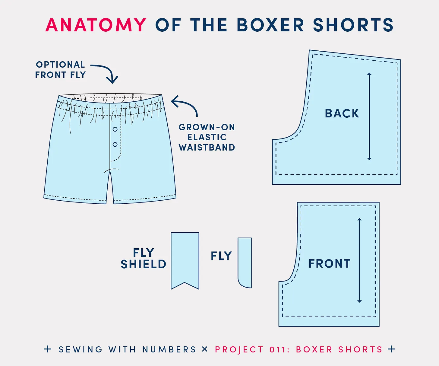 Boxer shorts anatomy diagram